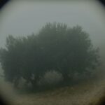 Why Do I See You in Everything?