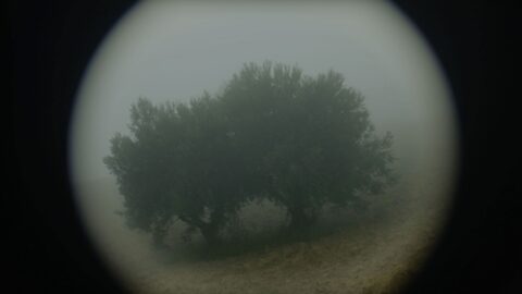 Why Do I See You in Everything?